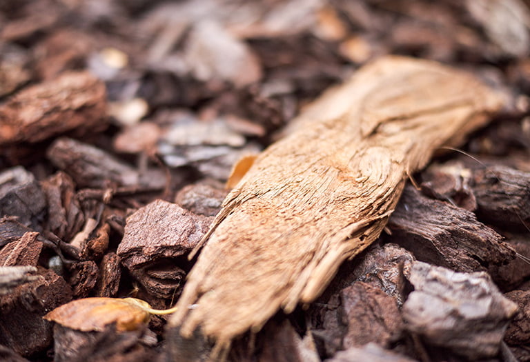 Rindenmulch kaufen Berlin Was ist ein Original Rindenmulch