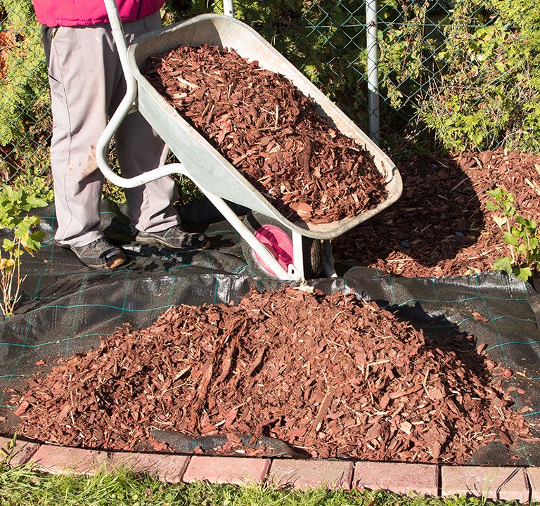 Rindenmulch kaufen Berlin boden vorbereiten auf Rindenmulch