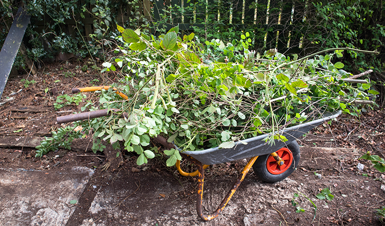 Gartenabfall entsorgen Berlin Das darf in einen Gartenabfall Container