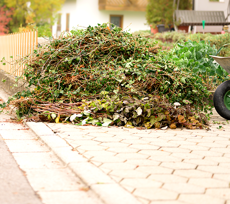 Gartenabfall entsorgen Berlin Kosten sparen